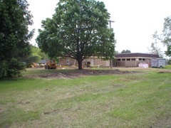 pine gone
